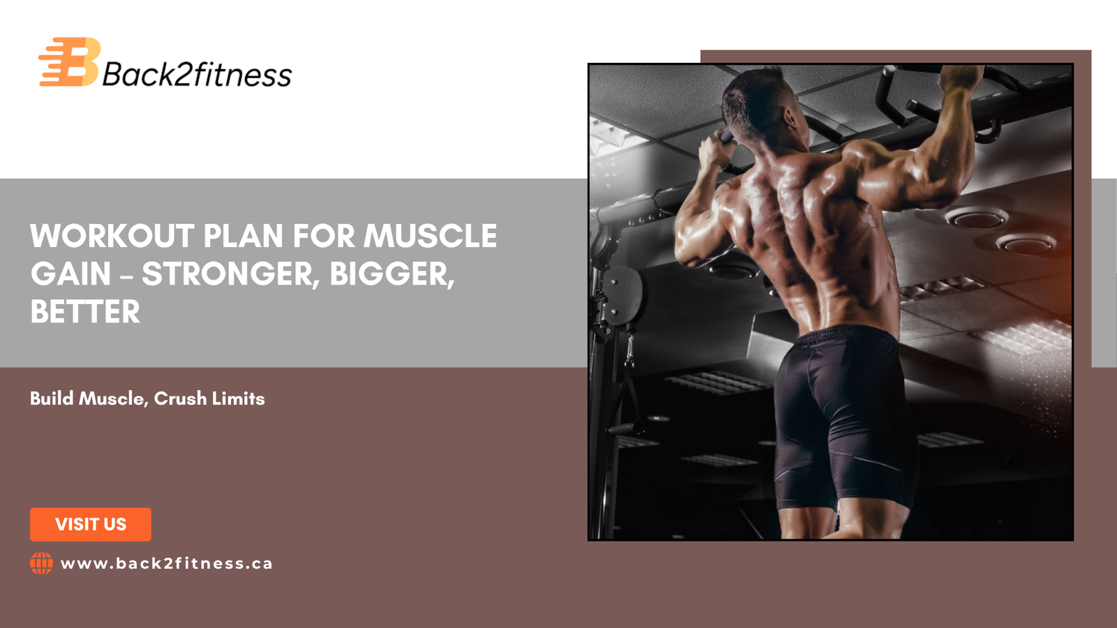 workout plan for muscle gain