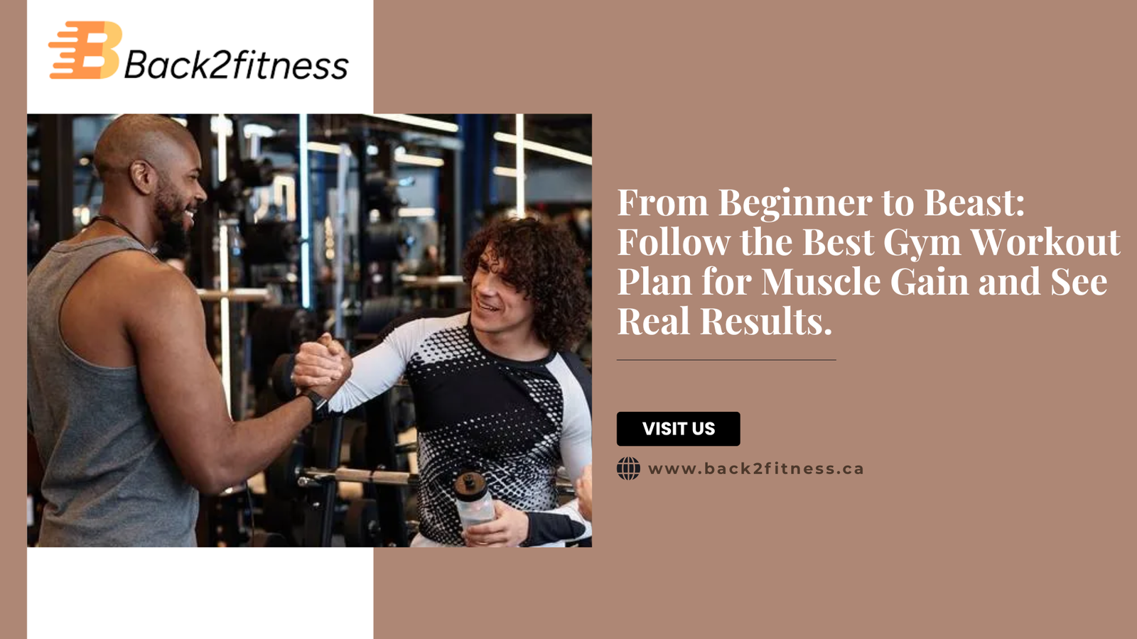 best gym workout plan for muscle gain