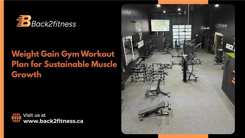 Weight Gain Gym Workout