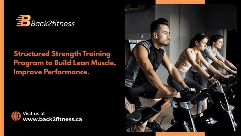 workout plan for muscle gain