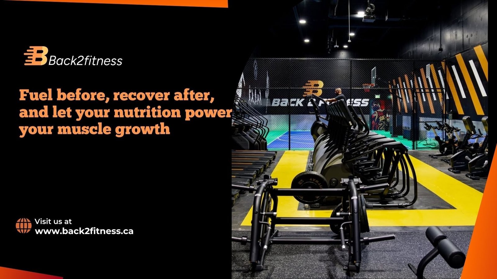 muscle building diet plan