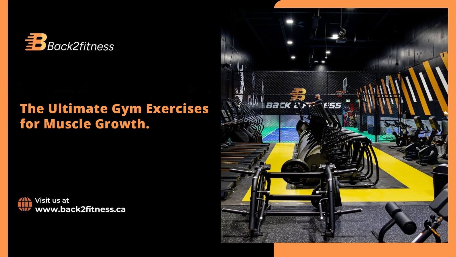 Best Exercises for Muscle Building
