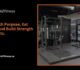 Workout Plan for Muscle Gain: The Smart Way to Build Strength and Size